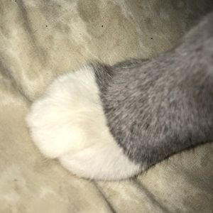 Meet your Posher, Jocelyn